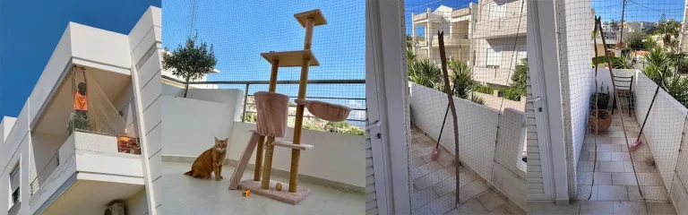 Προστασία-γατών-Χανιά-04